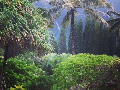 Hanalei Home 896400